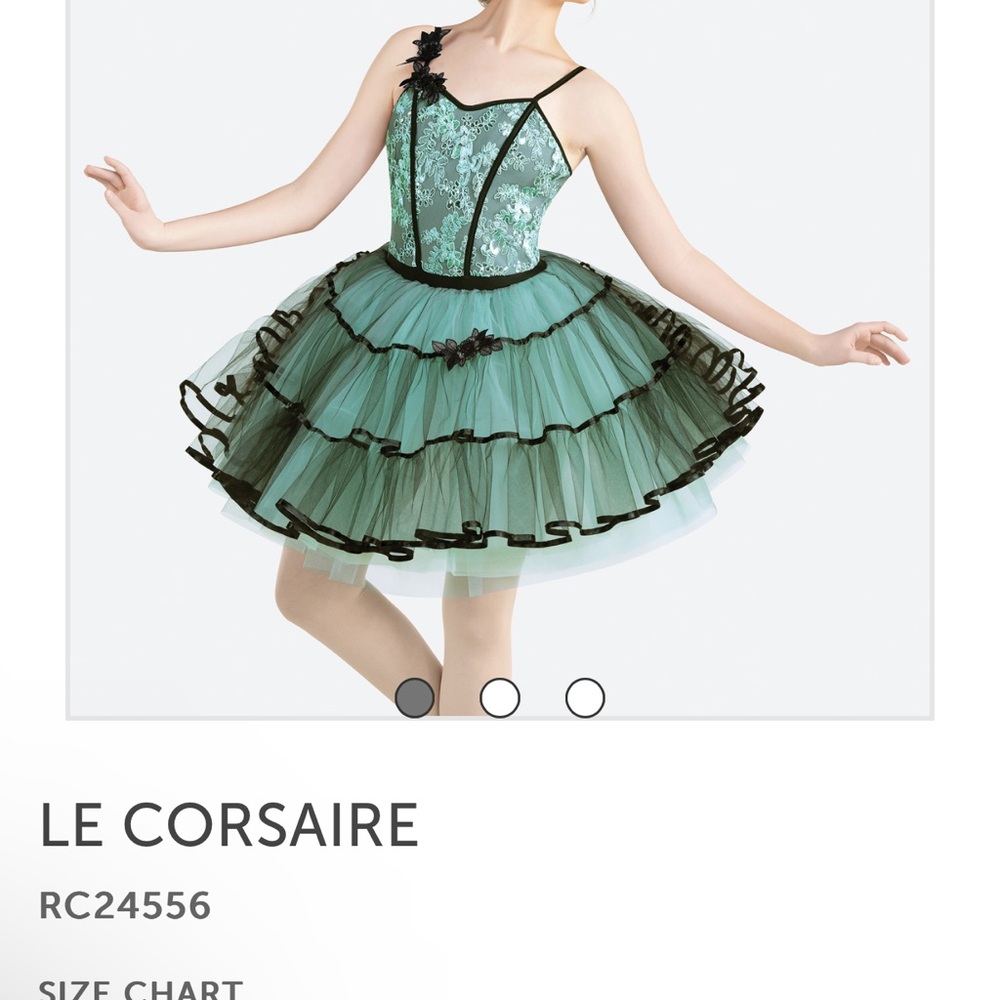 Revolution Perfect Condition Ballet, Adult Small, Worn Once w Adjustable Straps